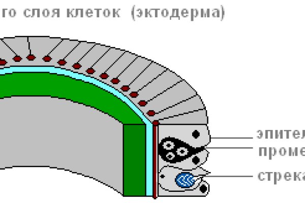 Кракен онион