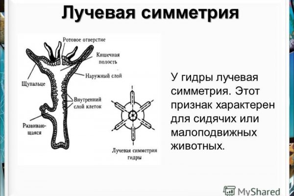 Как правильно покупать на меге