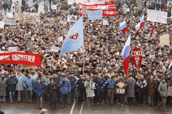 Зеркало меги в торе