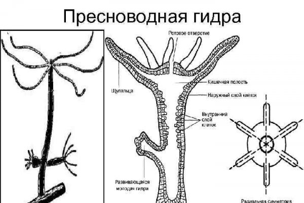 Русская блэкспрут